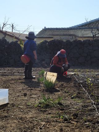 진아님의 참깨 · 자유게시판 작성글 사진