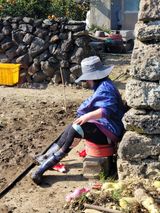 팜모닝 참깨·자유게시판 게시글 이미지