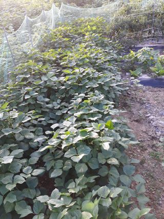 조동원님의 자유주제 · 자유게시판 작성글 사진