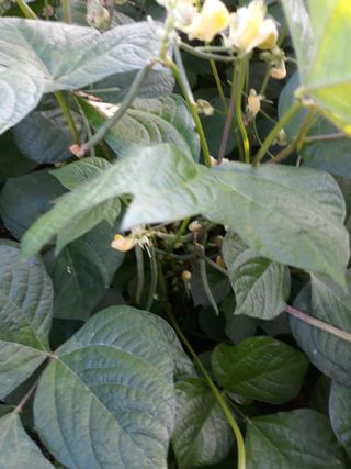 조동원님의 자유주제 · 자유게시판 작성글 사진