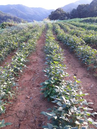 조동원님의 자유주제 · 자유게시판 작성글 사진