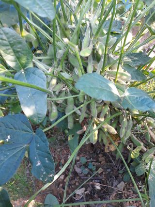 조동원님의 자유주제 · 자유게시판 작성글 사진