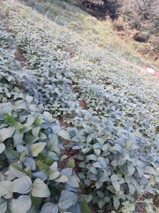 조동원님의 자유주제 · 자유게시판 작성글 사진