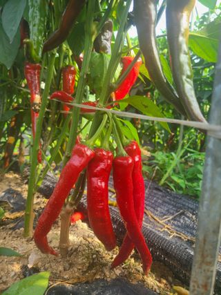 신동익님의 작성글 사진