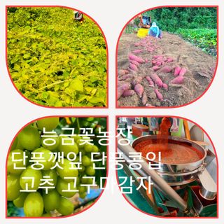 신동익님의 작성글 사진