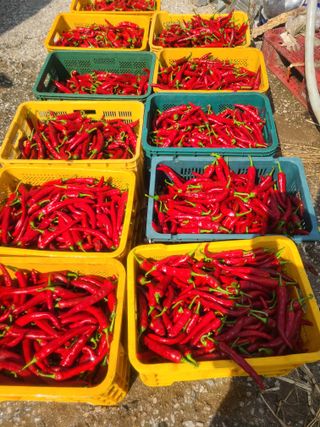 신동익님의 작성글 사진