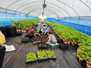 정광일님의 9월 내 작물 자랑하기 · 참여글 작성글 사진