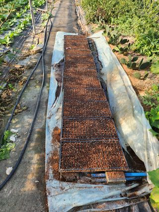 최병훈님의 복숭아 · 영농일지 작성글 사진