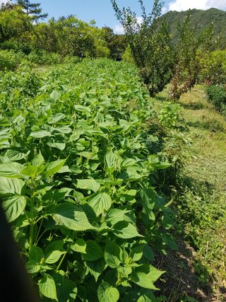 정석구님의 자유주제 · 자유게시판 작성글 사진