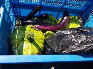 정석구님의 자유주제 · 자유게시판 작성글 사진