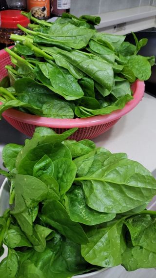 원빈님의 자유주제 · 자유게시판 작성글 사진