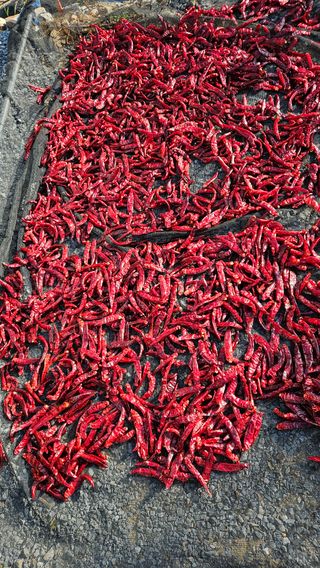 홍&이님의 작성글 사진