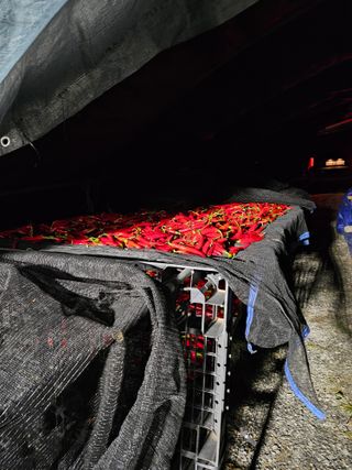 홍&이님의 작성글 사진