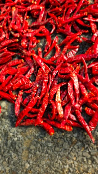 홍&이님의 작성글 사진