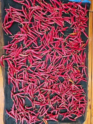 홍&이님의 작성글 사진