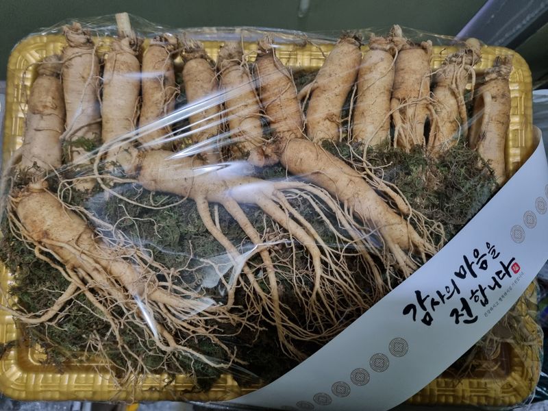 장터 상품 [6년근 인삼 추석선물셋트 판매합니다🎁] 썸네일