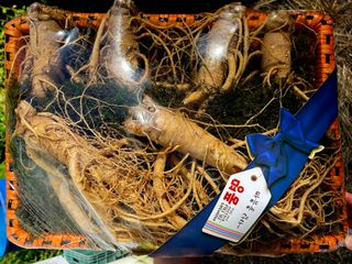 모두팜님의 작성글 사진