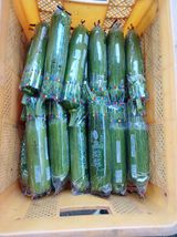 팜모닝 오늘의 시장을 알려주세요·참여글 게시글 이미지