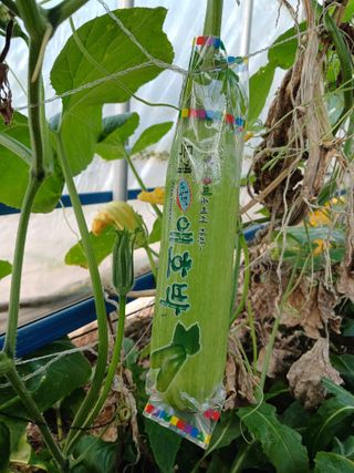 879412님의 오늘의 시장을 알려주세요 · 참여글 작성글 사진