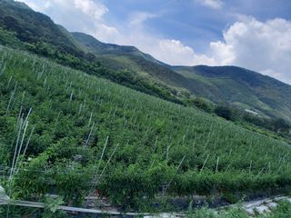 김용철님의 작성글 사진