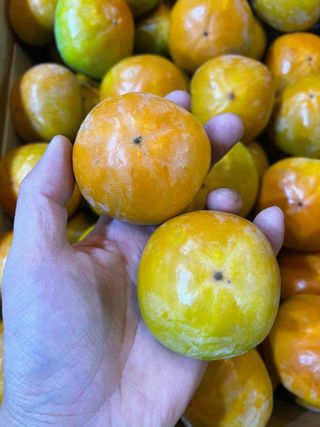 알 수 없음님의 작성글 사진