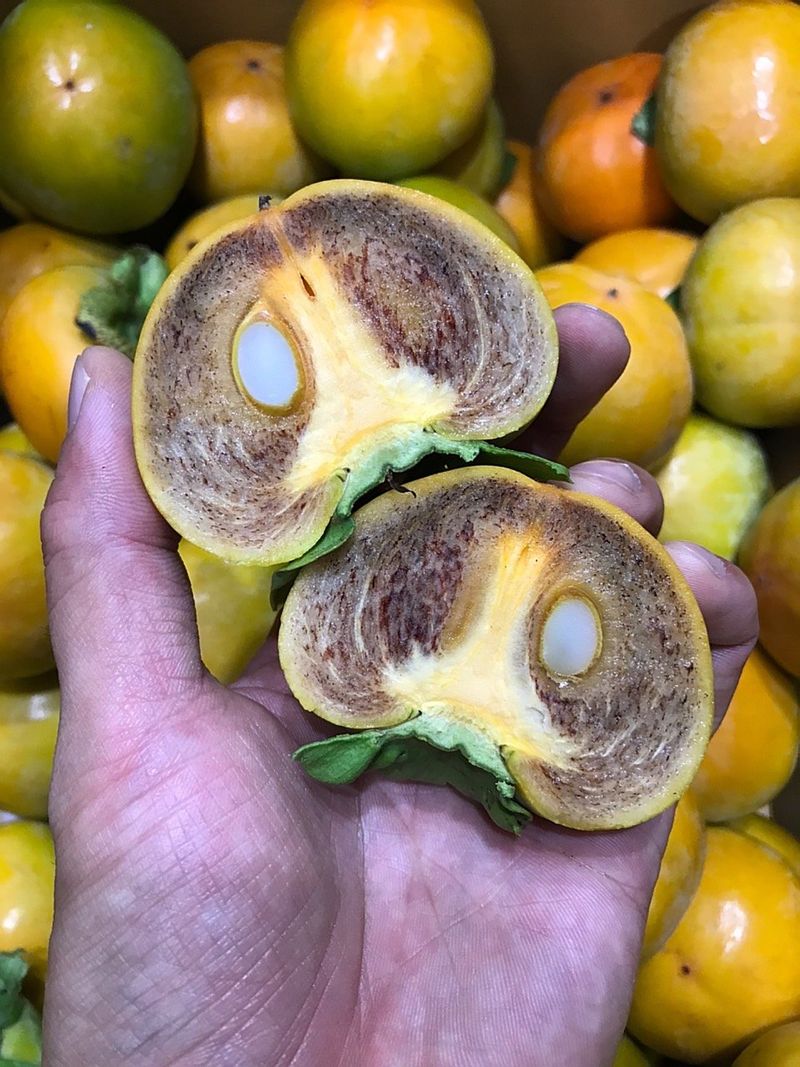 알 수 없음님의 장터 판매 상품 [사천단감   3키로 ㅡ5키로  ] 첨부 사진