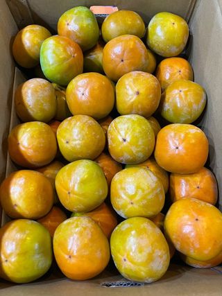 알 수 없음님의 작성글 사진