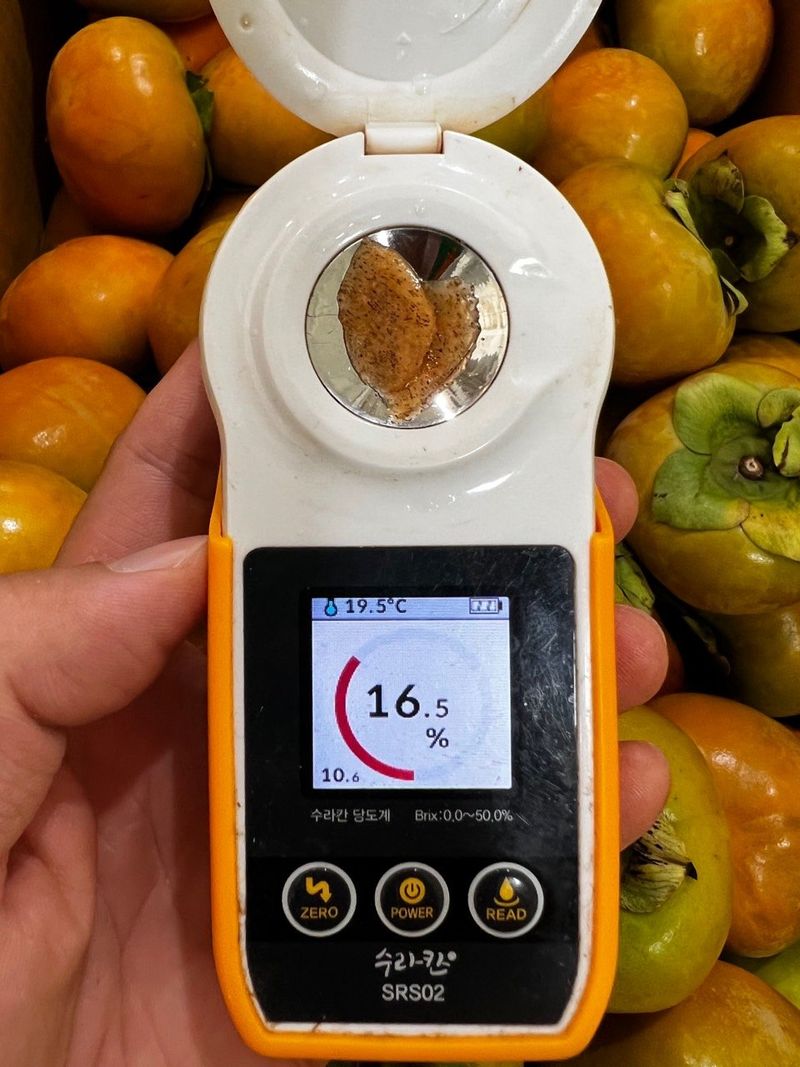 알 수 없음님의 장터 판매 상품 [사천단감   3키로 ㅡ5키로  ] 첨부 사진