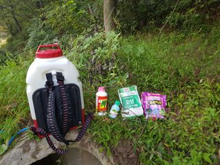 당근한개님의 들깨 · 자유게시판 작성글 사진