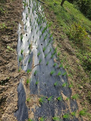 헤라네(김정현)님의 자유주제 · 자유게시판 작성글 사진