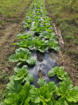 헤라네(김정현)님의 자유주제 · 자유게시판 작성글 사진