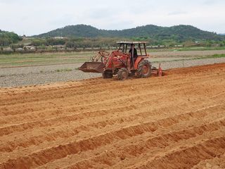 보리수치유농장님의 기타작물 · 자유게시판 작성글 사진