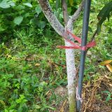 팜모닝 오늘의 시장을 알려주세요·참여글 게시글 이미지