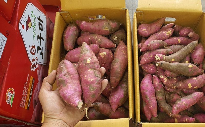 장금이1님의 장터 판매 상품 [못난이꿀밤고구마ㅡ품절] 첨부 사진