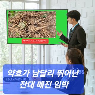 농산물에 진심구병안님의 작성글 사진