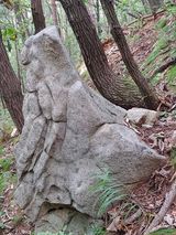 팜모닝 오늘의 시장을 알려주세요·참여글 게시글 이미지