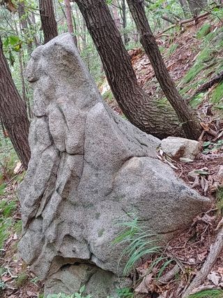 숲속의사나이님의 오늘의 시장을 알려주세요 · 참여글 작성글 사진