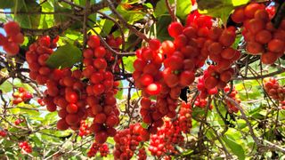 유혜정님의 기타작물 · 자유게시판 작성글 사진