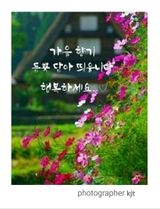 팜모닝 자유주제·자유게시판 게시글 이미지