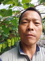 팜모닝 · 게시글 이미지