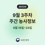 팜모닝 팜모닝공식·혜택 게시글 이미지