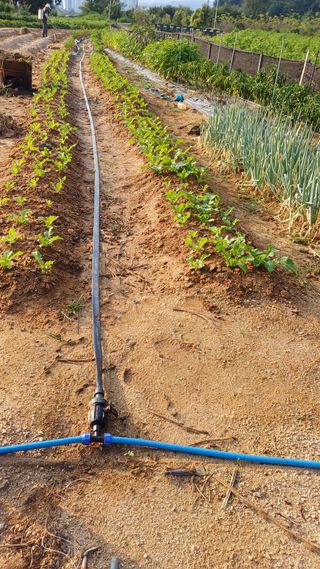 박순덕님의 자유주제 · 자유게시판 작성글 사진