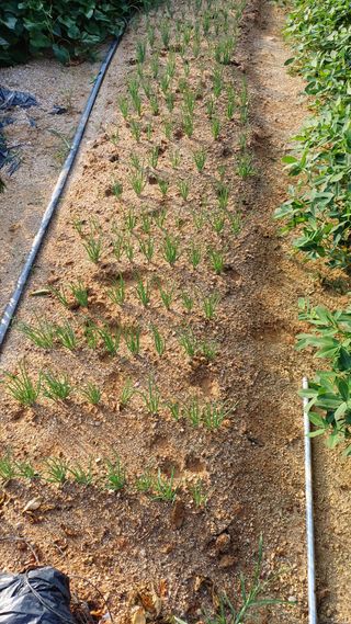 박순덕님의 자유주제 · 자유게시판 작성글 사진