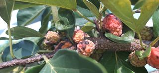 김영문님의 자유주제 · 자유게시판 작성글 사진