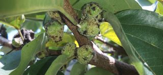 김영문님의 자유주제 · 자유게시판 작성글 사진