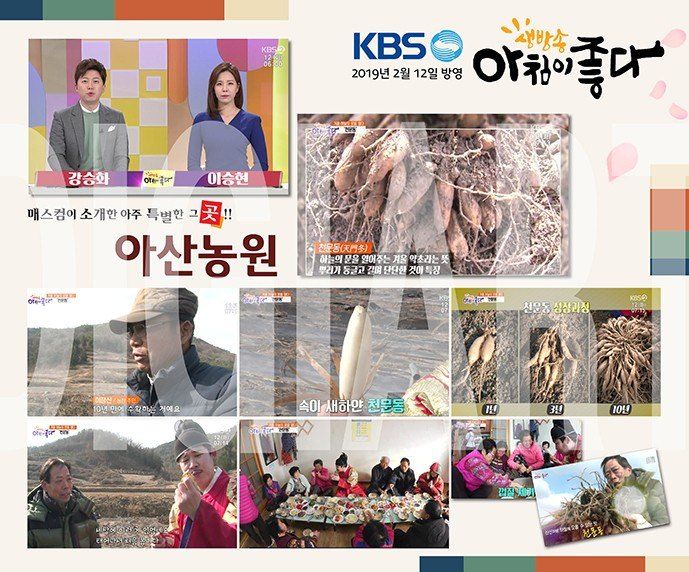 이창신님의 장터 판매 상품 [천문동즙] 첨부 사진