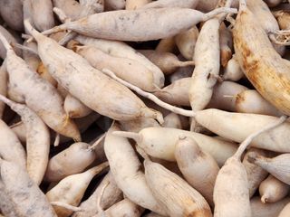 이창신님의 작성글 사진