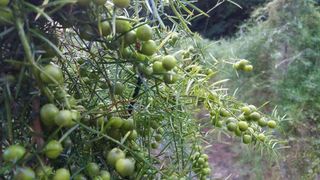 이창신님의 작성글 사진