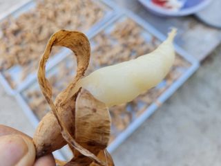 이창신님의 작성글 사진