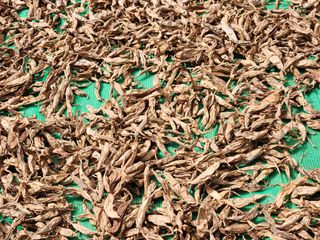 이창신님의 작성글 사진